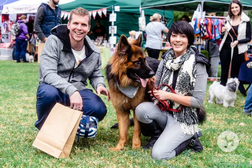 Houndwave-Adelaide's Dogs Day Out Music Festival