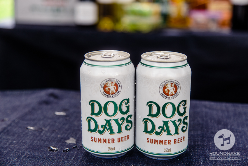 Houndwave-Adelaide's Dogs Day Out Music Festival
